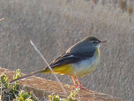 f0357487_22561513.jpg