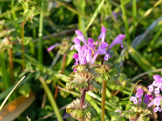 f0357487_22565753.jpg