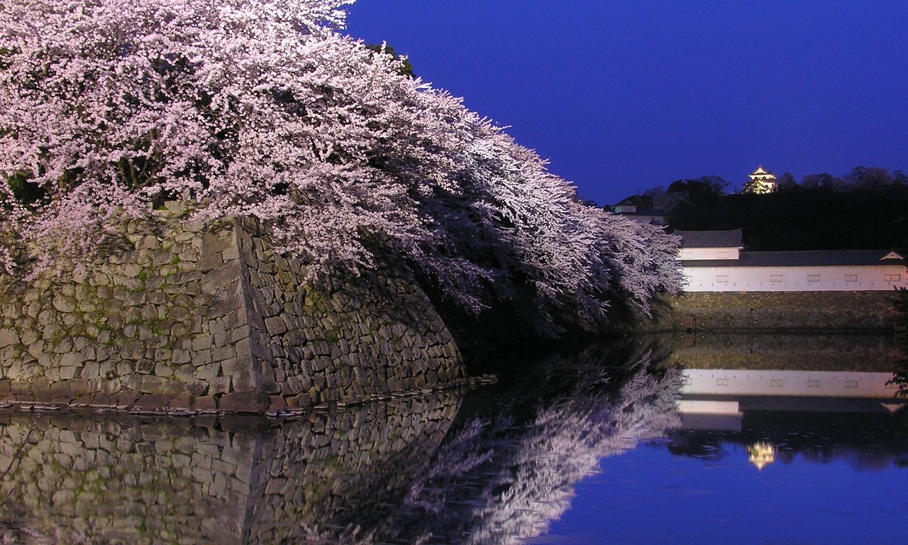 c0072801_49102.jpg