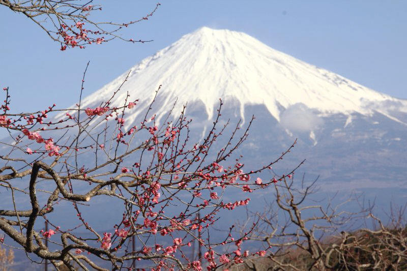a0188405_16572081.jpg