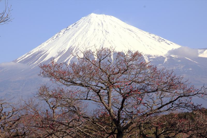 a0188405_16595975.jpg