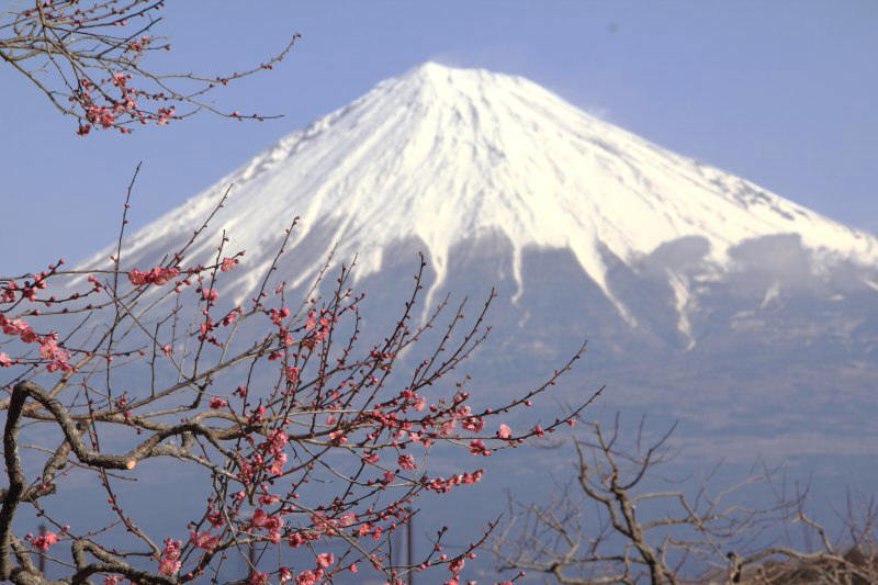 a0188405_17031465.jpg