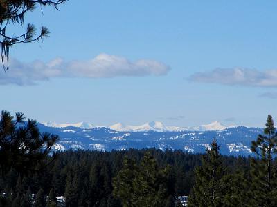 a0310405_07182516.jpg