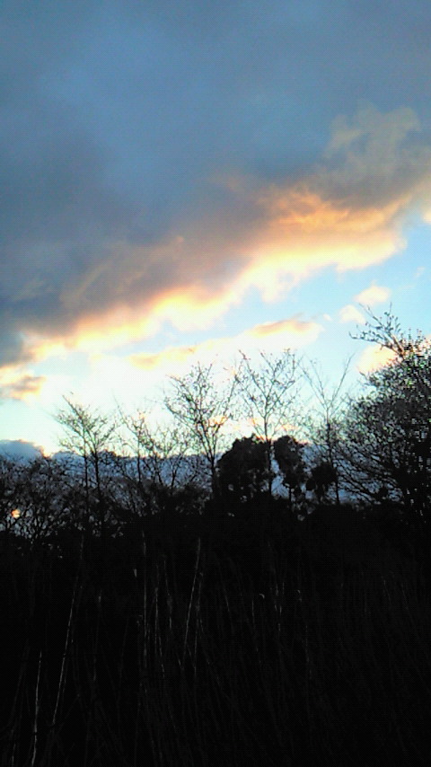 d0149105_8135516.jpg