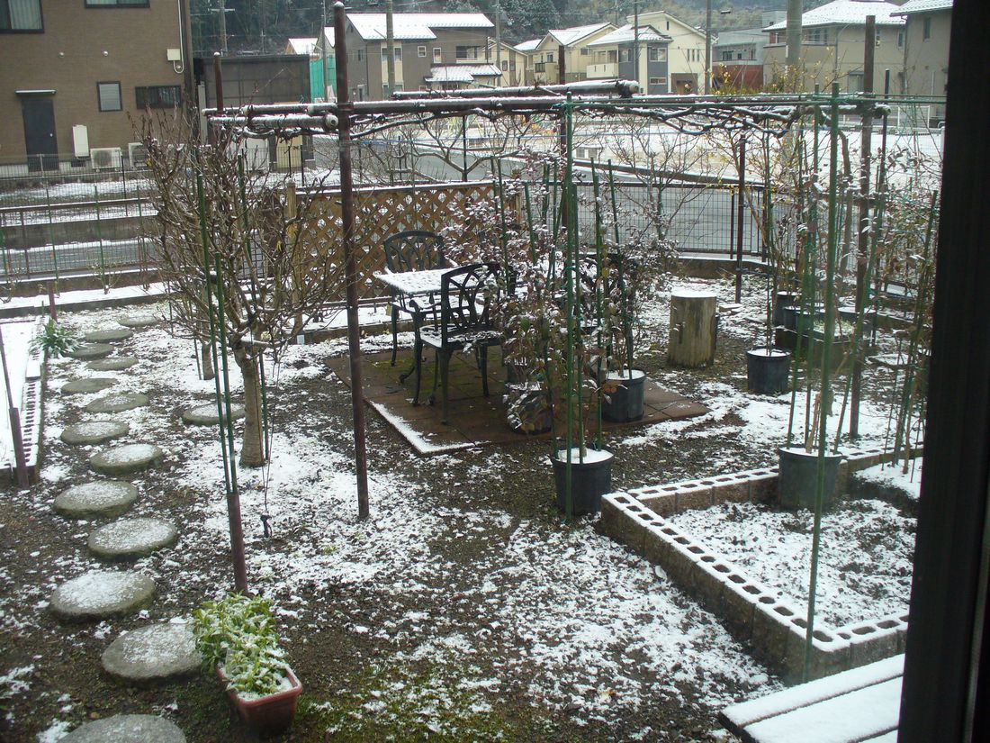 f0346527_22281316.jpg