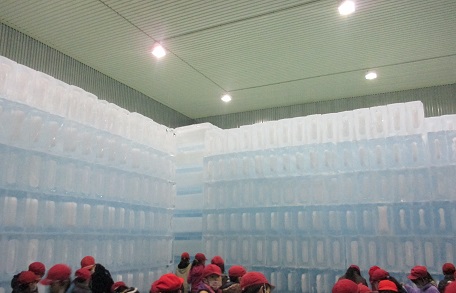 e0069234_816623.jpg