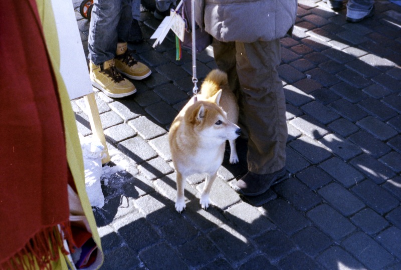 d0089742_1975119.jpg