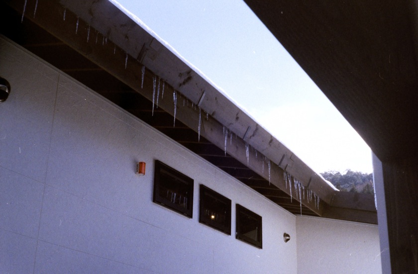 d0089742_1993967.jpg