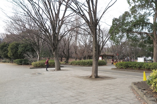 f0142948_23283683.jpg