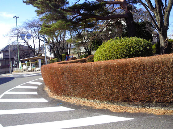 c0039153_2123627.jpg