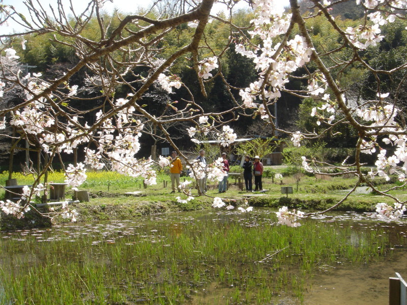 c0108460_01455500.jpg