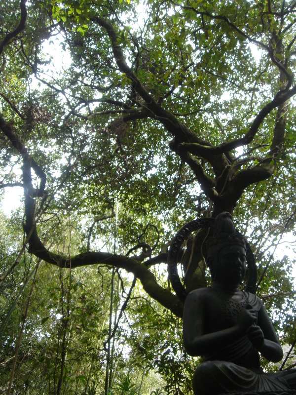 c0108460_01542920.jpg