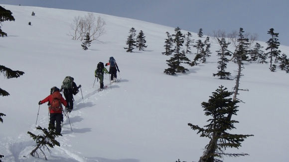 b0050067_0361437.jpg