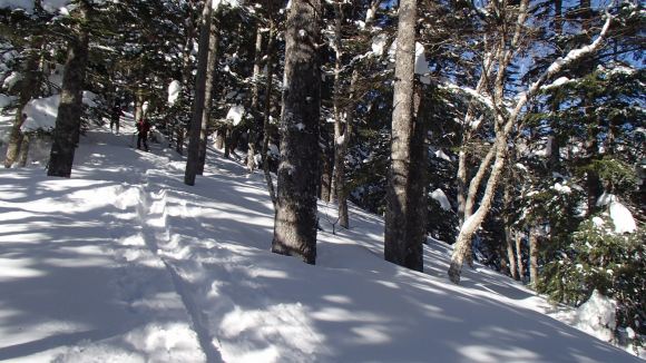 b0050067_121265.jpg