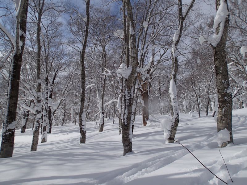 c0321967_2250579.jpg