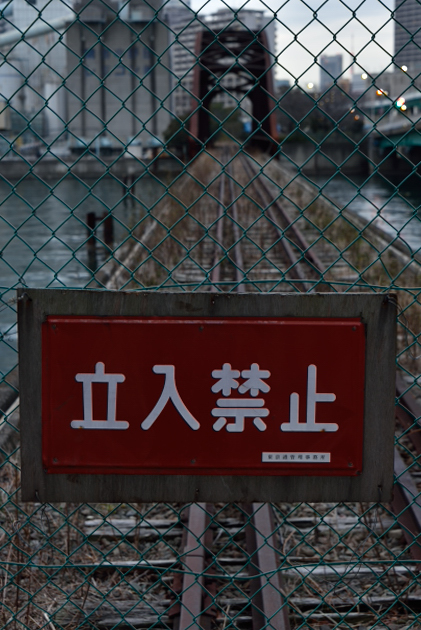f0065768_17362193.jpg