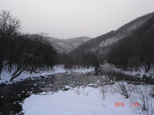 d0165378_836580.jpg
