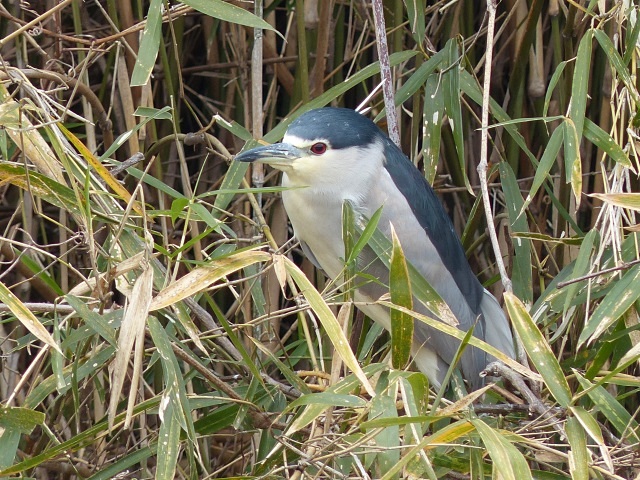 f0357487_23433685.jpg