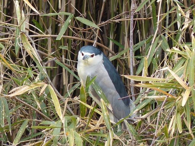f0357487_2343963.jpg