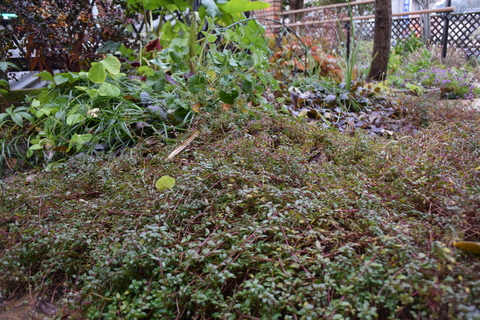 b0230589_19584649.jpg