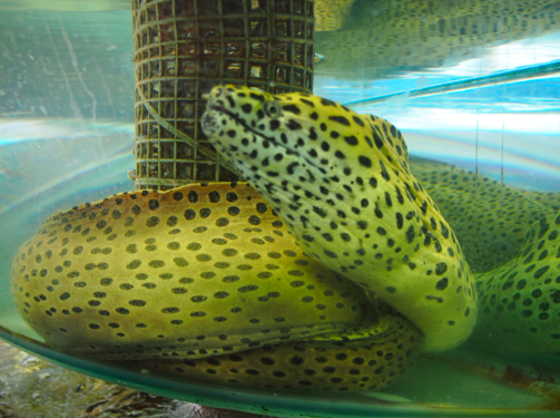 a0146493_2133311.png