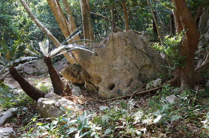 e0241093_21175459.jpg