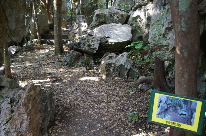 e0241093_21322255.jpg