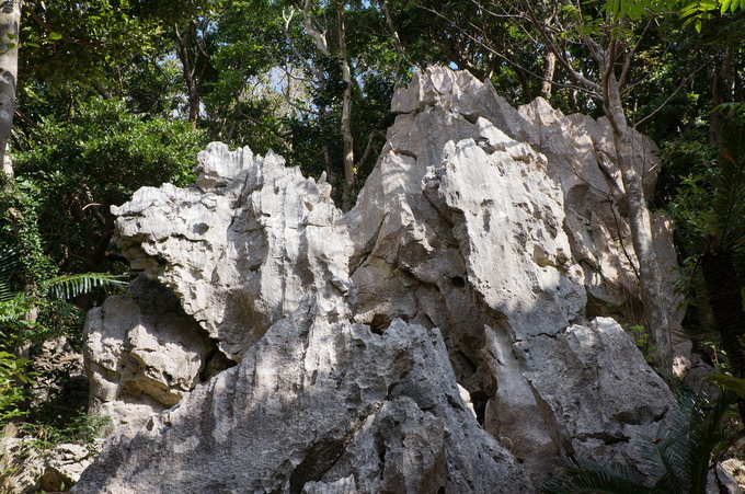 e0241093_21332583.jpg