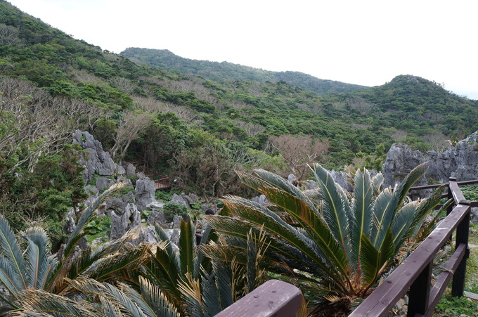 e0241093_21453583.jpg