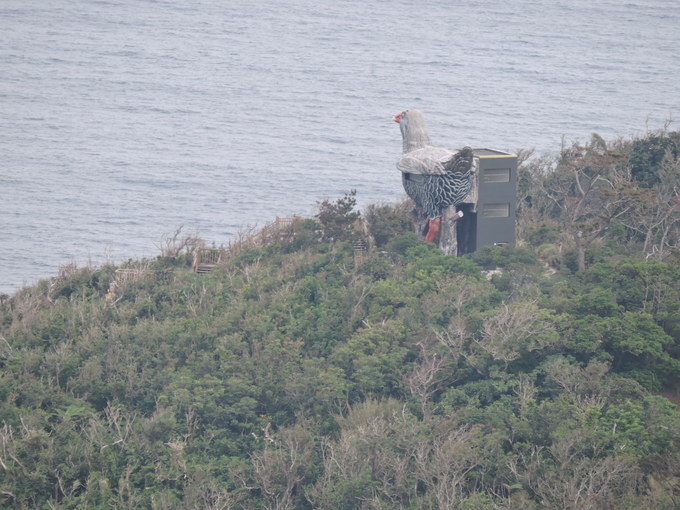 e0241093_214705.jpg