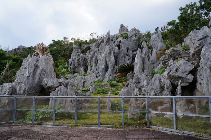 e0241093_215727.jpg