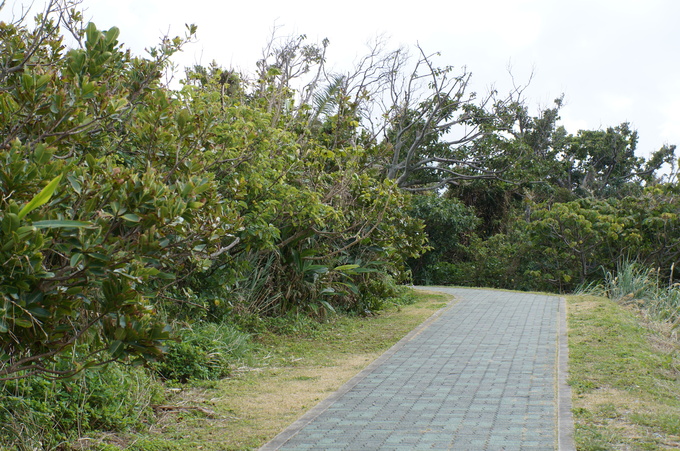 e0241093_2291789.jpg