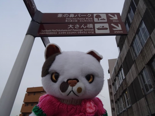 f0256400_20163473.jpg