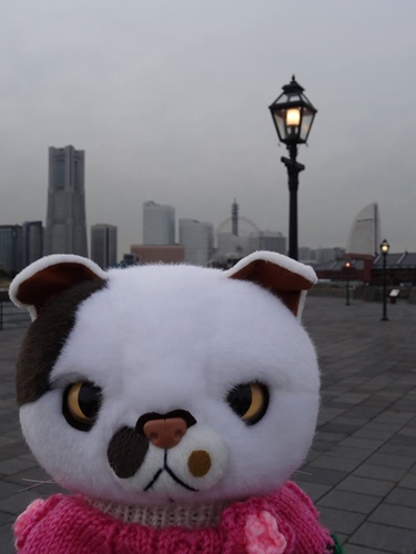 f0256400_20165344.jpg
