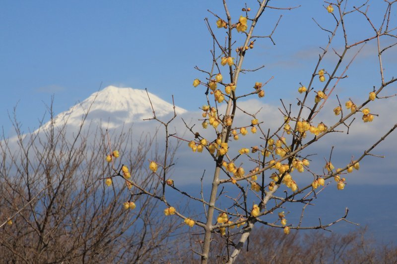 a0188405_09120279.jpg