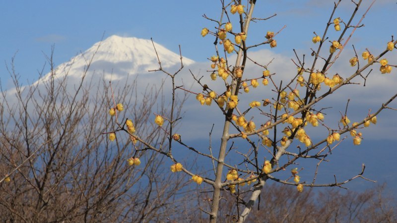a0188405_09131366.jpg