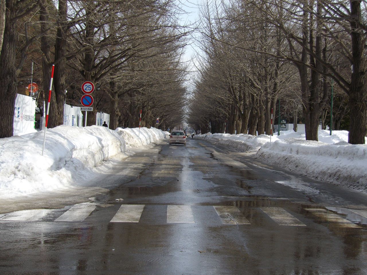 c0025115_2072857.jpg