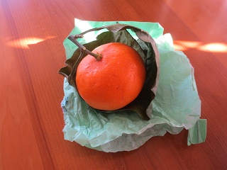 f0248616_9182953.jpg