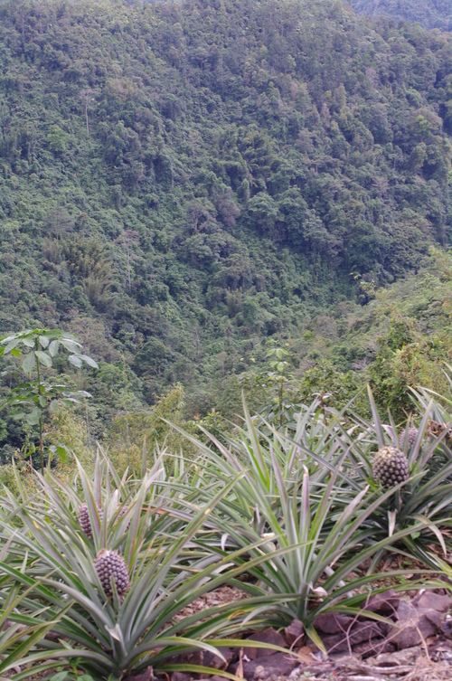 d0023725_21204731.jpg