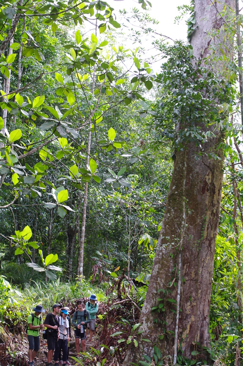 d0023725_21355856.jpg