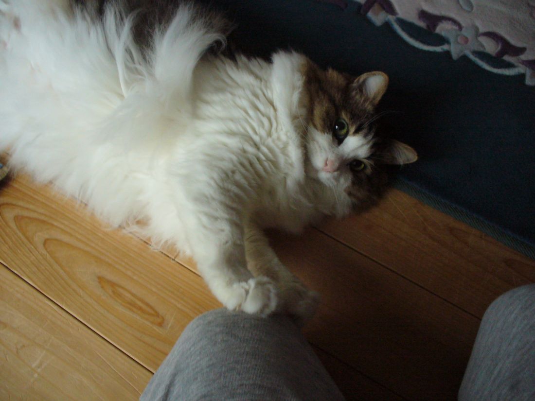 f0346527_2113429.jpg