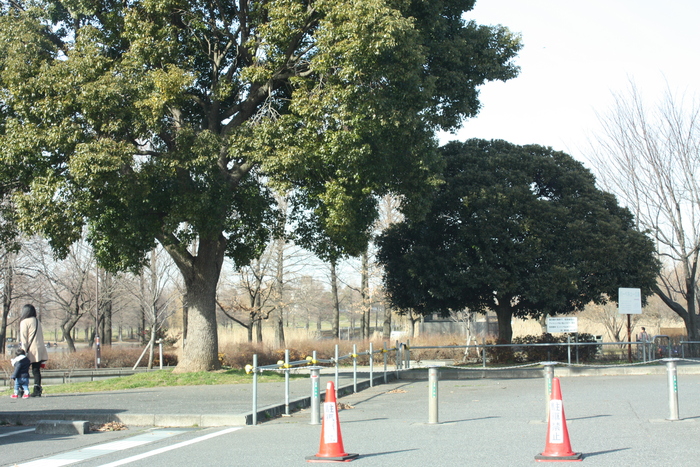 a0214329_724356.jpg