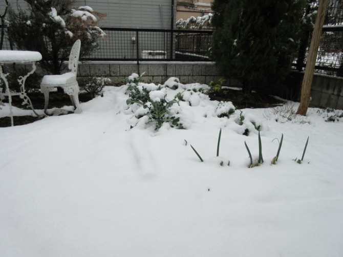 f0238932_18293441.jpg