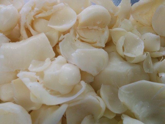 f0208737_8354918.jpg