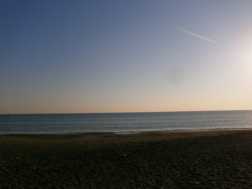 c0097542_2092579.jpg