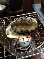f0065542_2314768.jpg