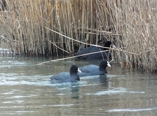 f0214649_54176.jpg