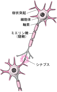 d0078350_15312950.gif