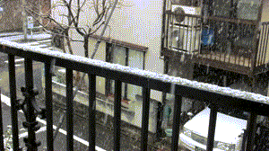 b0133752_9313816.gif