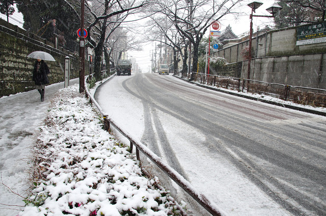 c0080357_1834914.jpg